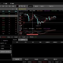 天狼盛世軟件開發公司 引領數字化時代的創新力量